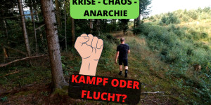 Beitragsbild des Blogbeitrags Krise – Chaos – Flucht oder Kampf? Meine klare Meinung!  