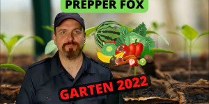 Beitragsbild des Blogbeitrags Prepper Fox Austria – Mein Garten 2022 – Was läuft gut, was eher schlecht?