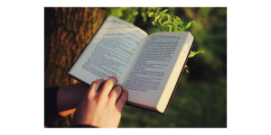 Beitragsbild des Blogbeitrags Erzählendes Sachbuch