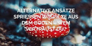 Beitragsbild des Blogbeitrags Alternative Ansätze spriessen wie Pilze aus dem Boden – Wem vertraust du?