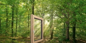 Beitragsbild des Blogbeitrags Bauen mit Verantwortung – für uns und unsre Umwelt