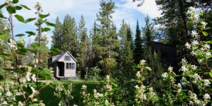 Beitragsbild des Blogbeitrags Tiny Houses: Von den Anfängen bis hin zum architektonischen Trend