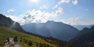 Beitragsbild des Blogbeitrags Wanderurlaub mit Hund – hundefreundliche Berghütte in Salzburg 