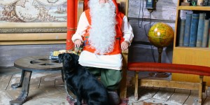 Beitragsbild des Blogbeitrags Finnland und das Weihnachtsmanndorf mit Hund