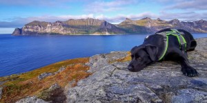 Beitragsbild des Blogbeitrags Vom Nordkap über den blauen See nach Senja 