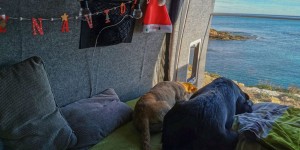 Beitragsbild des Blogbeitrags Vorweihnachtszeit in Málaga und Marbella