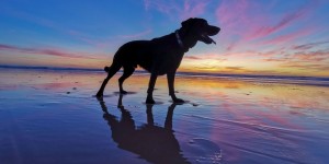 Beitragsbild des Blogbeitrags Camping an der Costa de la Luz