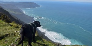 Beitragsbild des Blogbeitrags Roadtrip durch den Norden Portugals und Spaniens
