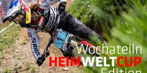 Beitragsbild des Blogbeitrags Wochateiln – KW 23/2019