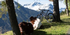 Beitragsbild des Blogbeitrags Quicklebendig 