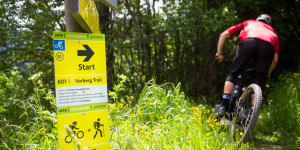 Beitragsbild des Blogbeitrags Legale Mountainbike-Strecken in Österreich