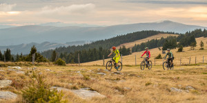 Beitragsbild des Blogbeitrags Mountainbike-Vereine in Österreich 