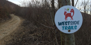 Beitragsbild des Blogbeitrags Graz sucht eine*n Mountainbike-Koordinator*in
