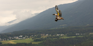 Beitragsbild des Blogbeitrags Crankworx Innsbruck 2023 – Tag 3 