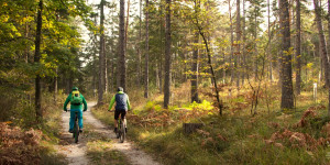 Beitragsbild des Blogbeitrags Area One schließt 