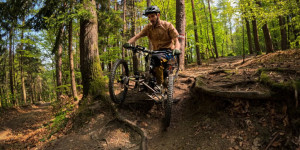 Beitragsbild des Blogbeitrags Back to the Woods 