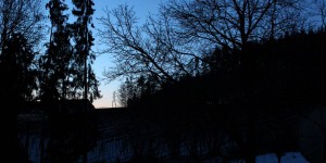Beitragsbild des Blogbeitrags Ja zum Leben!