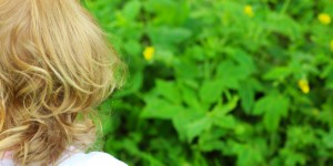 Beitragsbild des Blogbeitrags Lernen Kinder zu verhandeln, kann das den Wortschatz schnell verschandeln! :)