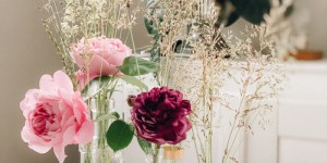 Beitragsbild des Blogbeitrags Blumenliebe DIY: Blumen aus Garten und Natur in Vasen arrangieren
