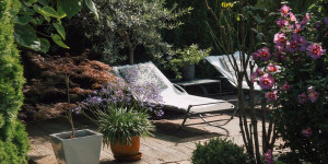 Beitragsbild des Blogbeitrags Unser Garten im Hochsommer & etwas fruchtig Süßes – eine Zwetschkengalette