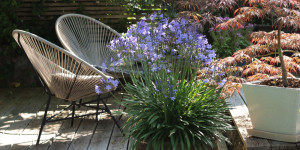 Beitragsbild des Blogbeitrags Gartenidylle im Hochsommer & erfirschend leichtes Frühstück