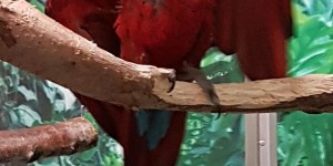 Beitragsbild des Blogbeitrags Die Heimat ist nicht mehr weit