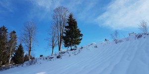 Beitragsbild des Blogbeitrags Bildstein – ein Schneeschuhwander – Paradies 
