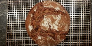 Beitragsbild des Blogbeitrags Wenn kleine Dinge plötzlich groß werden