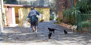 Beitragsbild des Blogbeitrags Catania, die Stadt am Fuße des Vulkans  Etna 