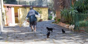 Beitragsbild des Blogbeitrags Catania, von Lava überrollt und immer wieder neu erstanden