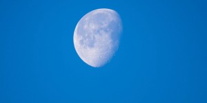 Beitragsbild des Blogbeitrags Riserva Naturale di Venidcari – Vogelschutzgebiet und eine verlassene Thunfischfabrik