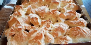 Beitragsbild des Blogbeitrags Marillen – Topfenkuchen mit Schneehaube
