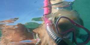 Beitragsbild des Blogbeitrags Mit dem Wohnmobil unterwegs in Kroatien