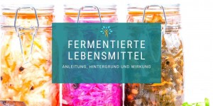 Beitragsbild des Blogbeitrags Fermentierte Lebensmittel – Anleitung, Hintergrund und Wirkungsweise 