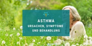 Beitragsbild des Blogbeitrags Asthma: Hintergrund, Symptome und Behandlung