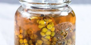 Beitragsbild des Blogbeitrags Green Peppercorns in Brine