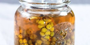 Beitragsbild des Blogbeitrags Green Peppercorns in Brine 