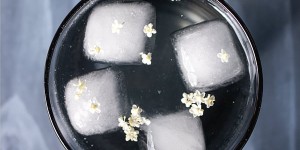 Beitragsbild des Blogbeitrags Elderflower Cordial (Hollunder Syrup)