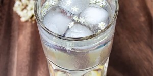 Beitragsbild des Blogbeitrags Lemon Gin Elderflower Cocktail 