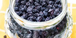 Beitragsbild des Blogbeitrags How to make Dehydrated Blueberries
