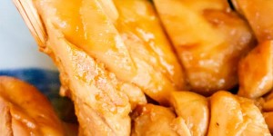 Beitragsbild des Blogbeitrags Japanese Teriyaki Chicken Recipe
