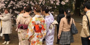 Beitragsbild des Blogbeitrags Sakura – rosarote Kirschblütenekstase in Tokyo 