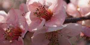 Beitragsbild des Blogbeitrags Muss mich wirklich alles glücklich machen?