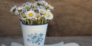 Beitragsbild des Blogbeitrags So belohnst du dich und sparst auch noch Geld