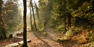 Beitragsbild des Blogbeitrags Der Herbst ist da oder Zeit für einen Rückblick?