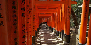 Beitragsbild des Blogbeitrags 5 Wochen in Japan, langsam geht es los