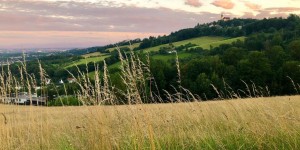 Beitragsbild des Blogbeitrags DIE EFFIZIENZ DER PSI-RESONANZ-METHODE® ÜBERTRIFFT ALLE ERWARTUNGEN!