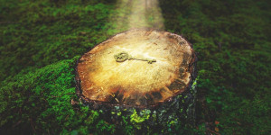 Beitragsbild des Blogbeitrags EINFACH ZUM NACHDENKEN!