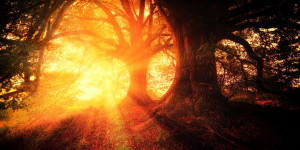 Beitragsbild des Blogbeitrags WELTNEUHEIT! – „Survive-Segment“