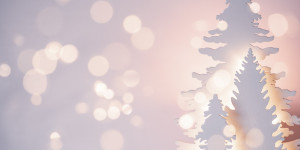 Beitragsbild des Blogbeitrags BESINNLICHE TAGE!